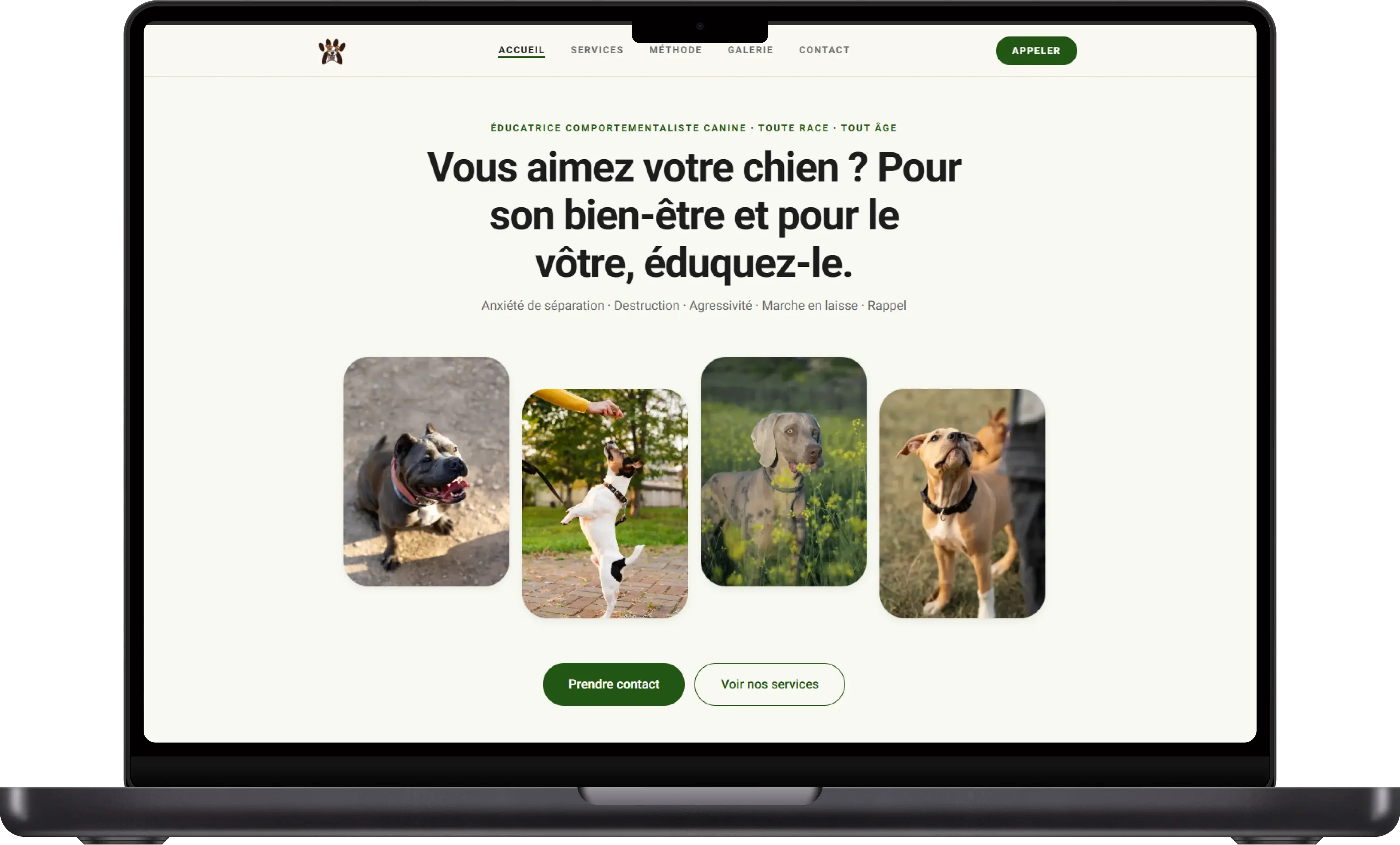 Sites vitrine sur-mesure